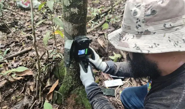 Instalación de cámaras trampa para monitoreo de fauna