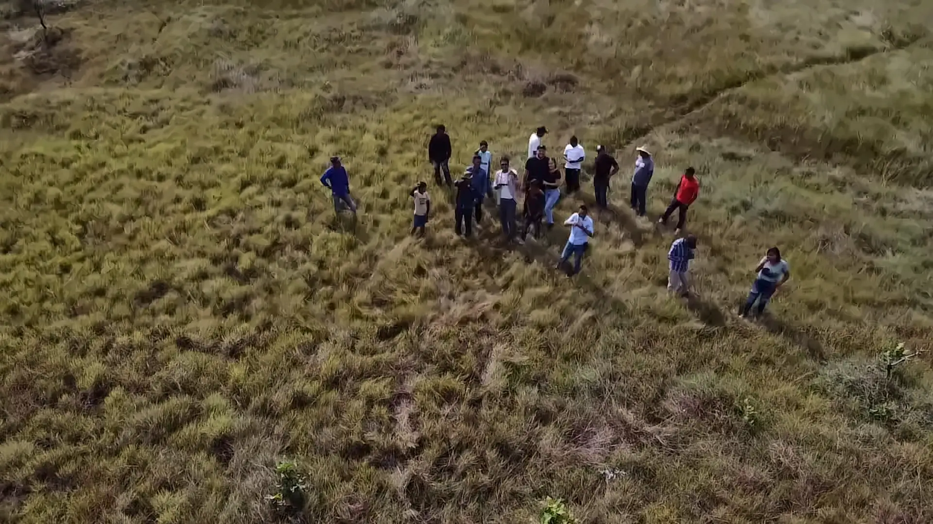 Vista aérea de una jornada de campo con la comunidad
