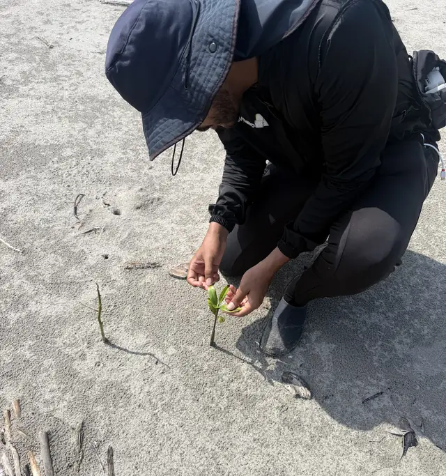 Seguimiento a una plántula recién sembrada