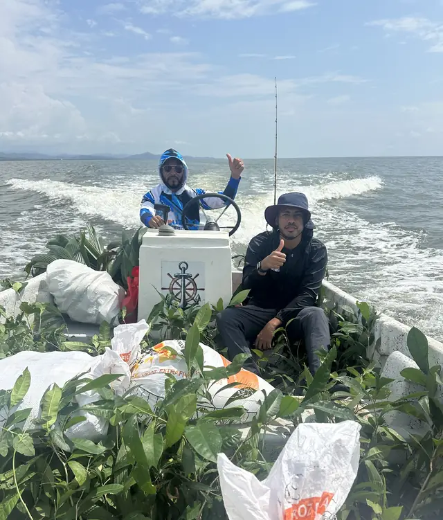 Transporte de material vegetal por mar