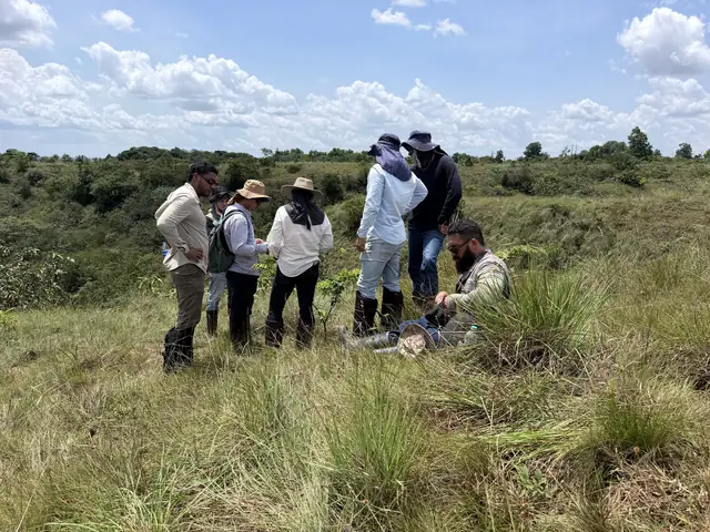 Visita técnica de seguimiento en sabana