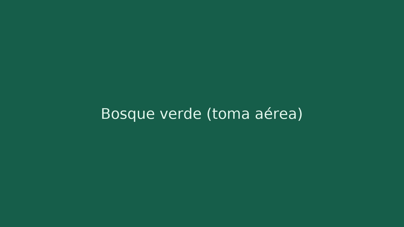 Bosque verde (toma aérea)