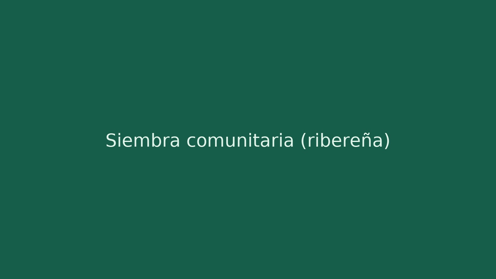 Siembra comunitaria (ribereña)